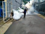 Foging-1