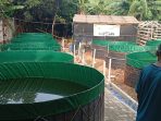 kolam-1 kolam-1